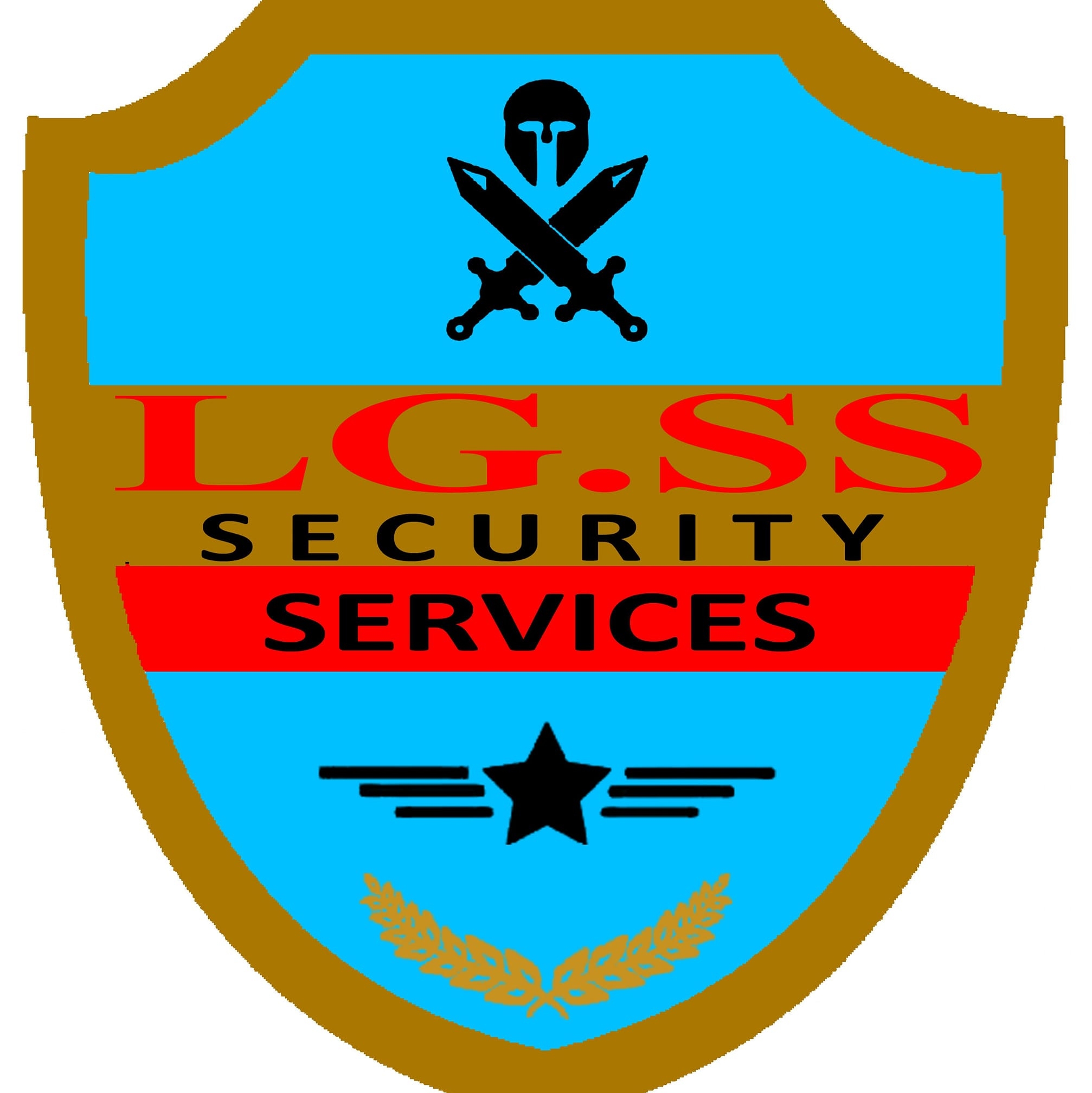 LG Security and Services