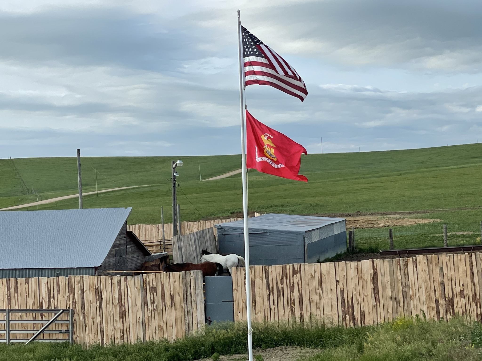 Wanted to keep this on my... - Juniper Cattle Company, LLC | Facebook