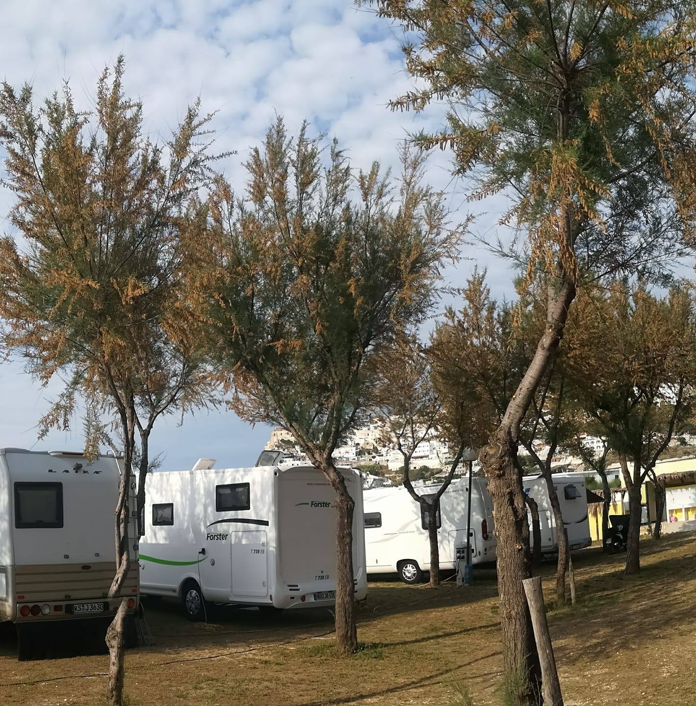 camping se et8256 Tube Zelt, öffentlichkeitswirksamer orange Elektronik & Foto Width_Average Farbe:ash grey Camping Finida Standort