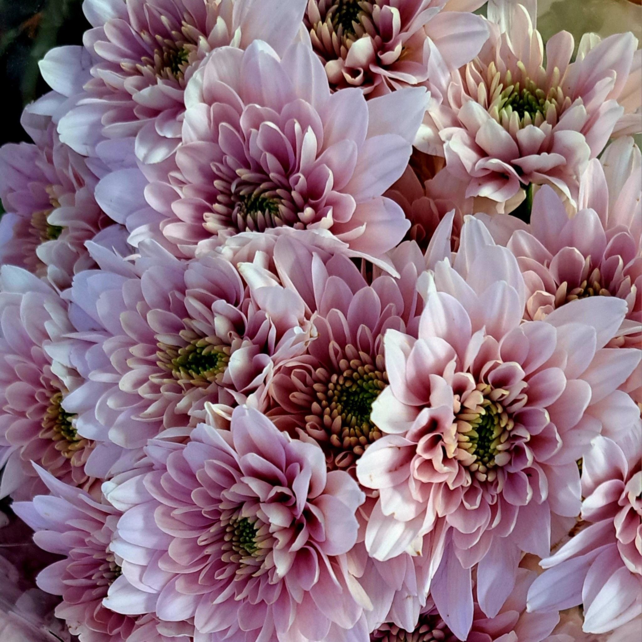Martinsen Blomster - God pinse 💐🌿 | Facebook