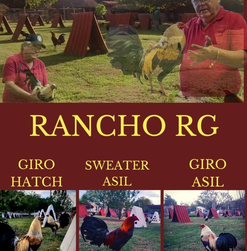 Partido de Rancho RG 