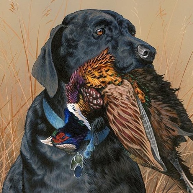 Past Duck Stamp Contest Winners