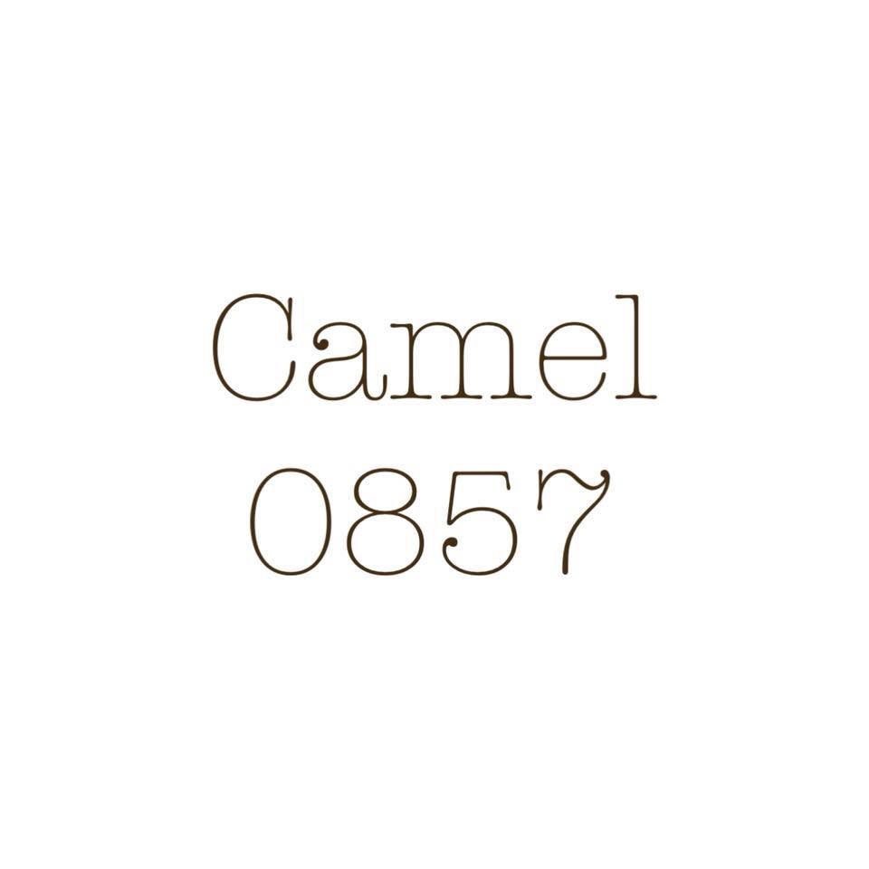 Camel0857