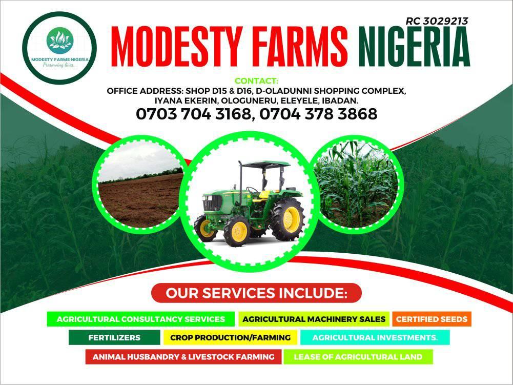 Modesty FARMS Nigeria
