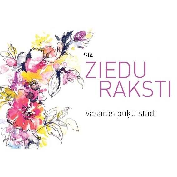 Ziedu Raksti | Riga
