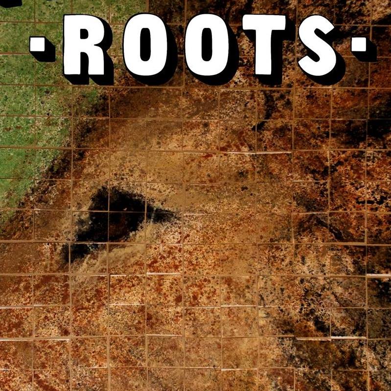 Irregular Roots