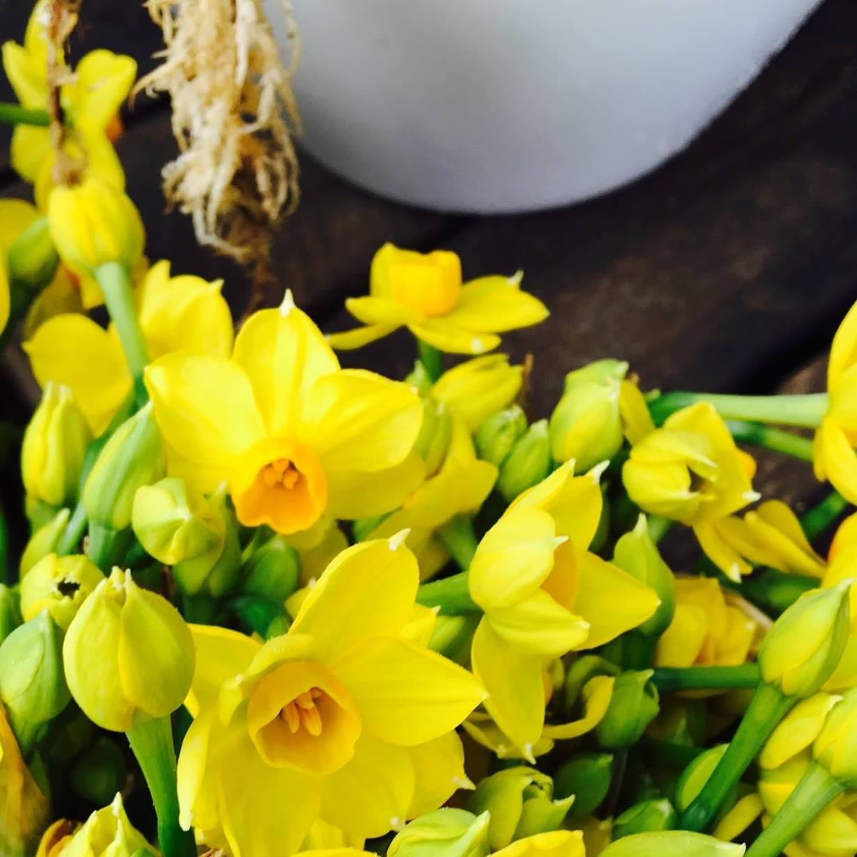 Cafe des Fleurs - Bespoke Floristry | Rye