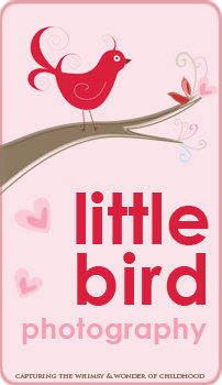 Little bird