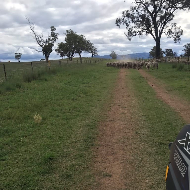 CCM Rural & Residential Contracting | Kandos NSW