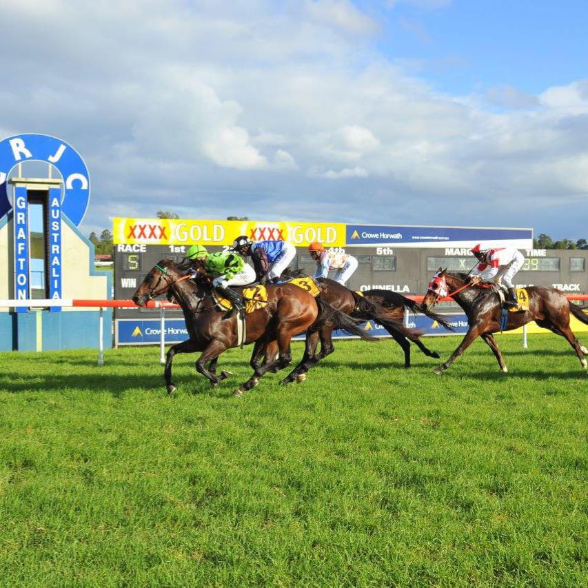 Wilkes Racing Stable | Taree NSW
