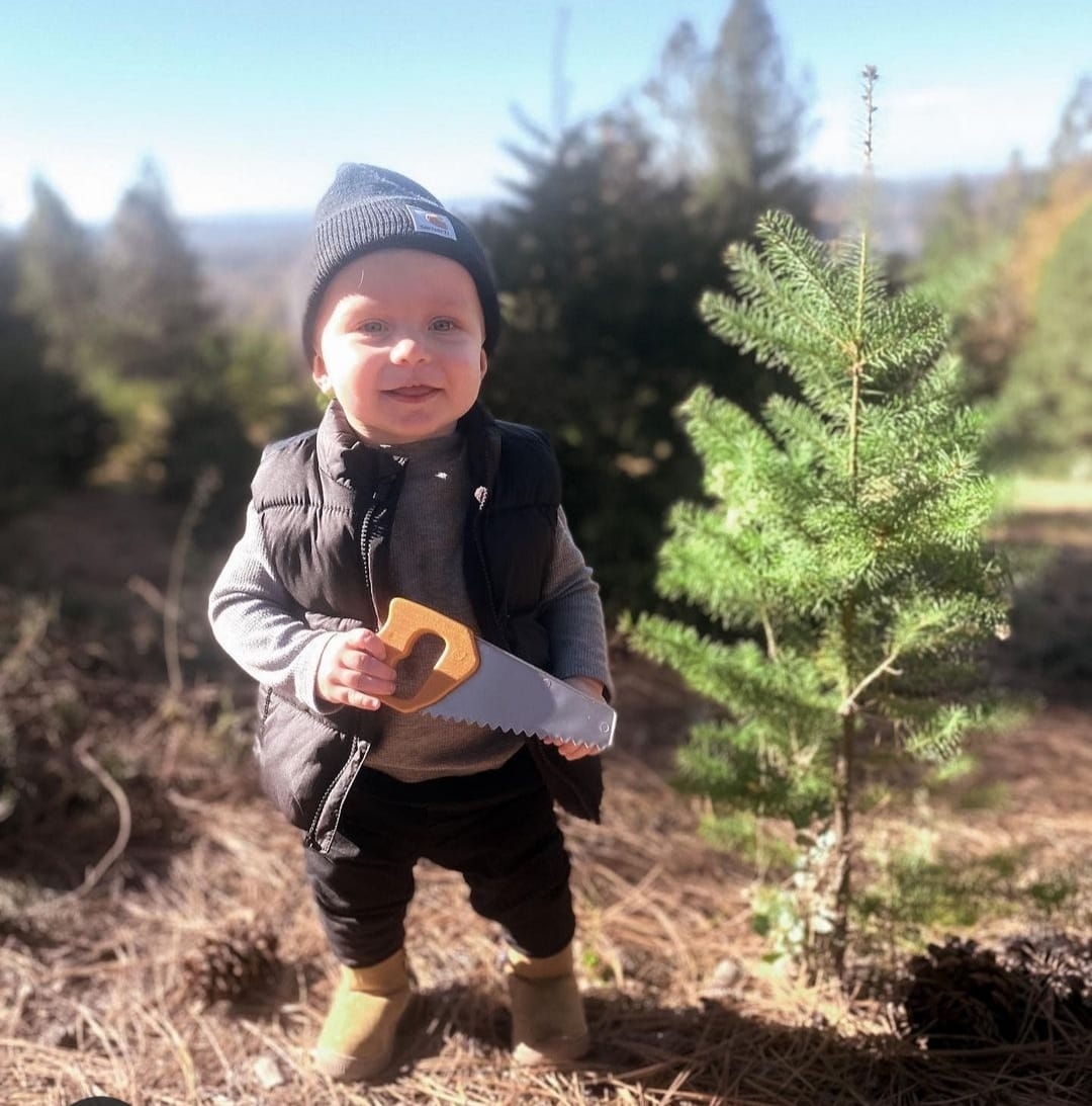 Twin Pines Christmas Tree Farm | Georgetown CA