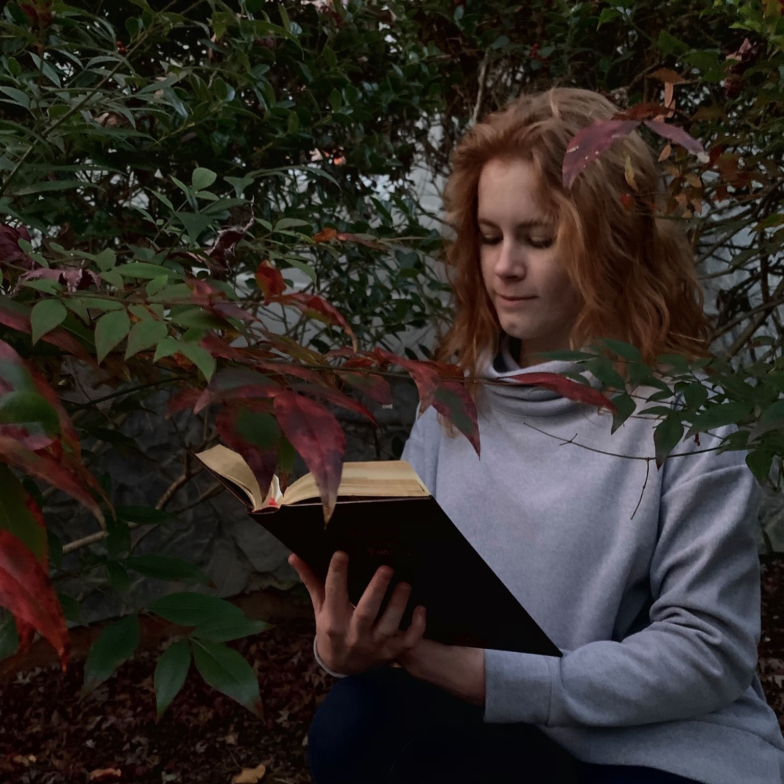 Jordan Renee, Author