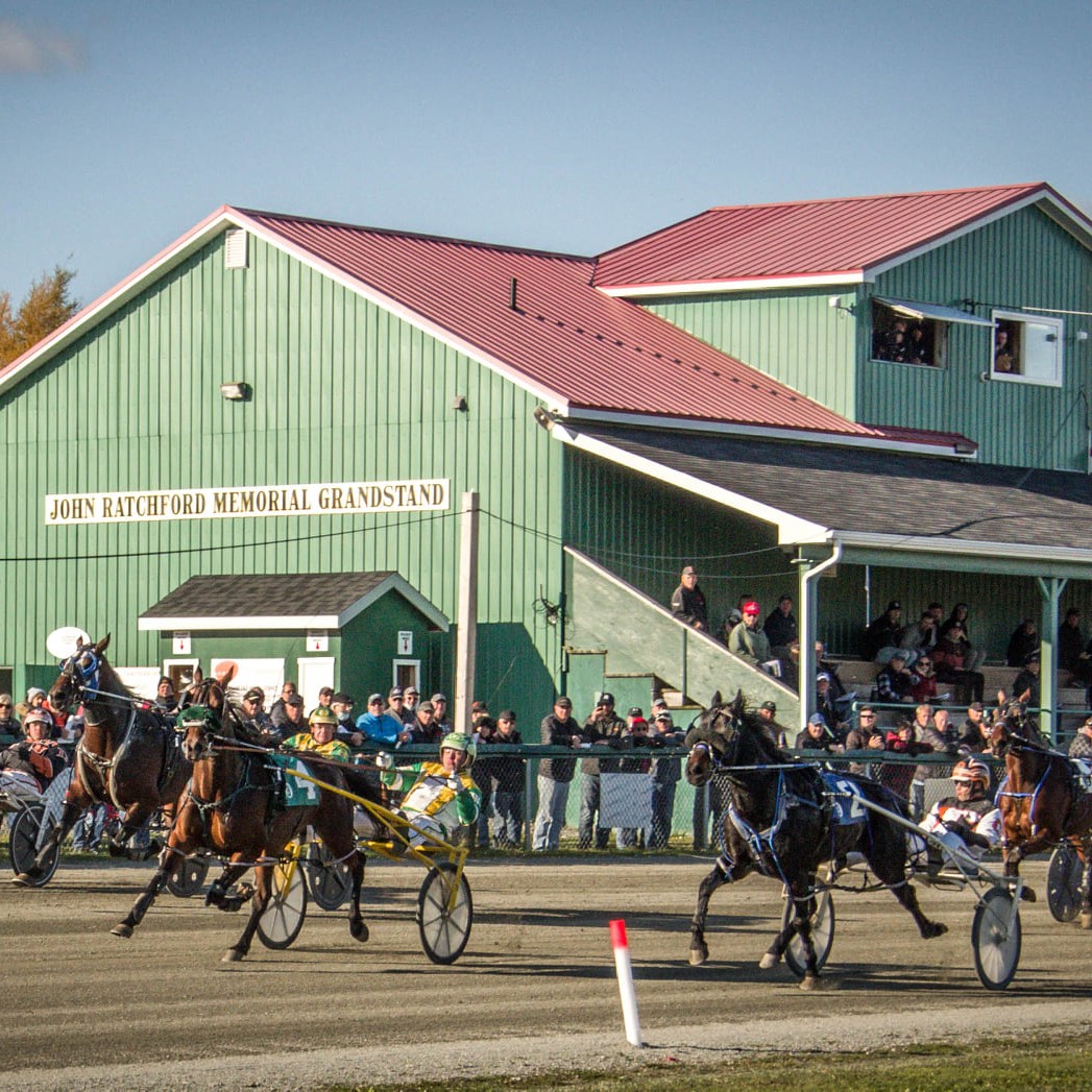 Northside Downs Harness Racing Fans | Northside Downs - Live Racing ...