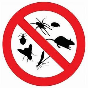 First Call Pest Control | Cape Coral FL