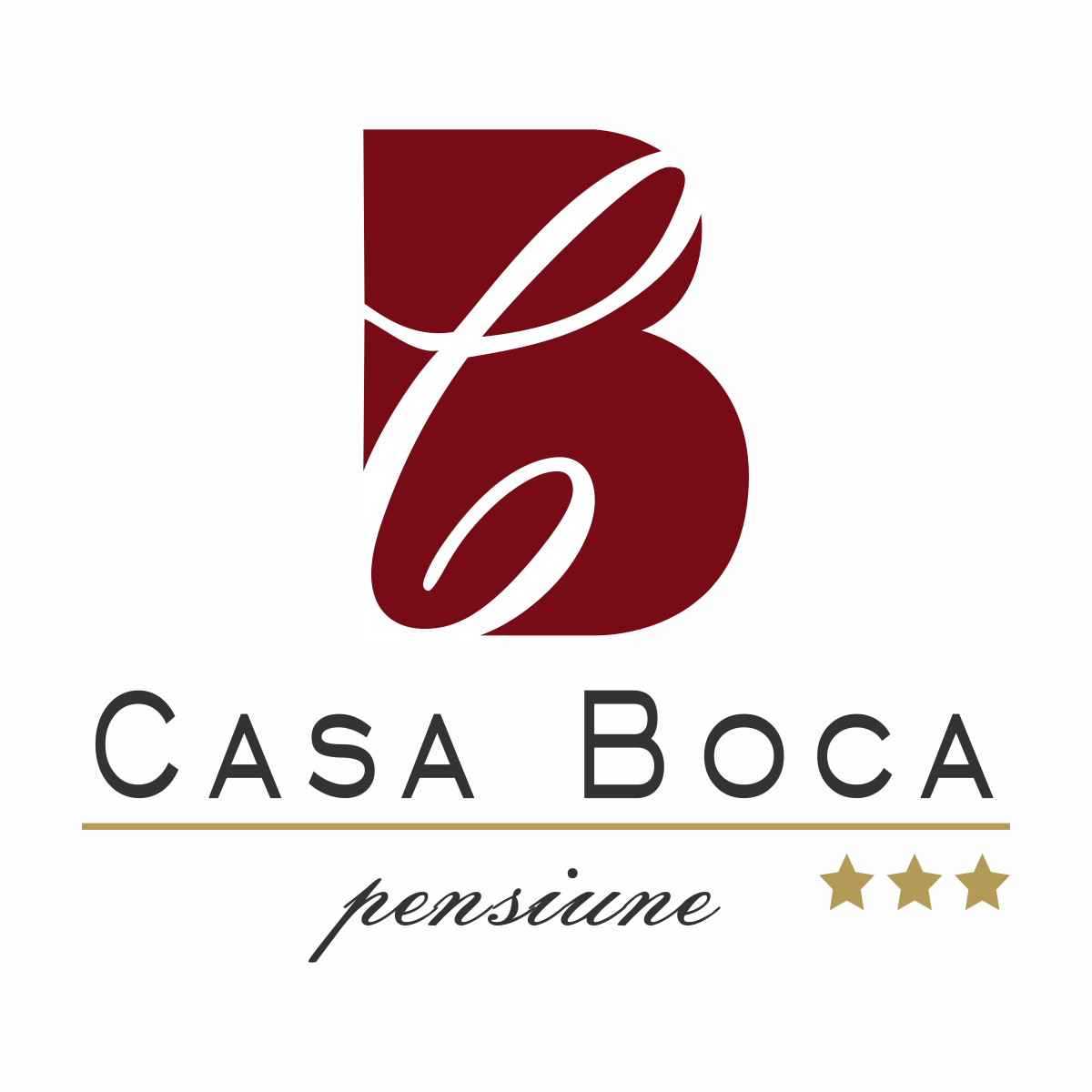 Pensiunea Casa Boca 5