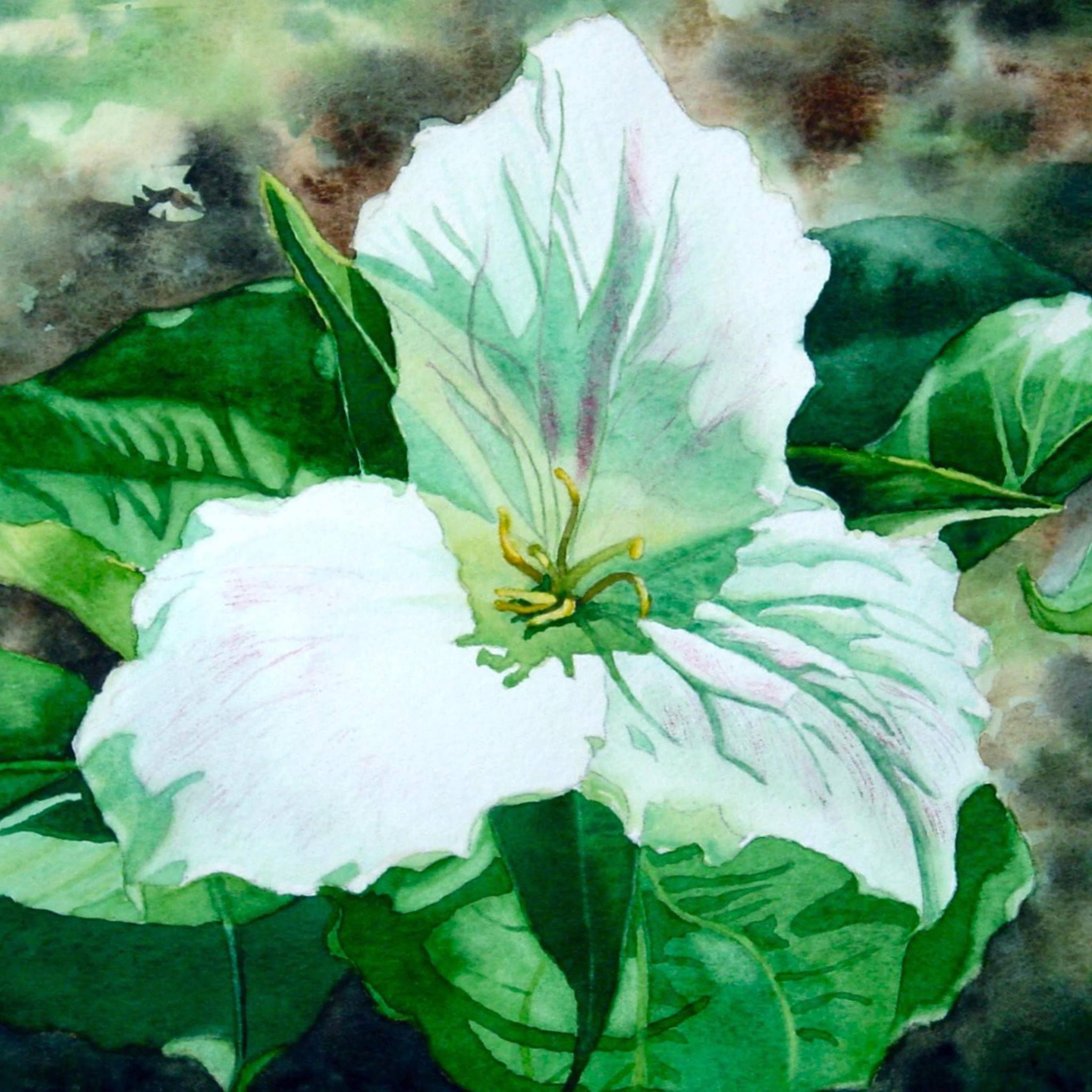 Inspire Art Gallery TC | Traverse City MI