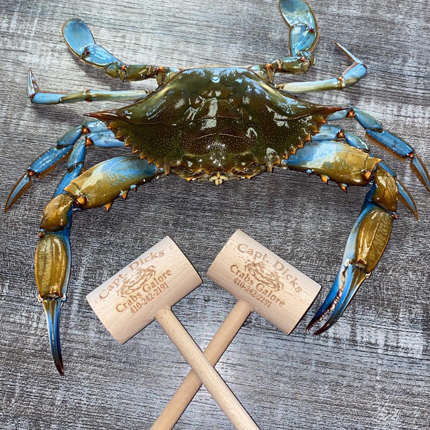 Captain Dick's Crabs Galore | Halethorpe MD