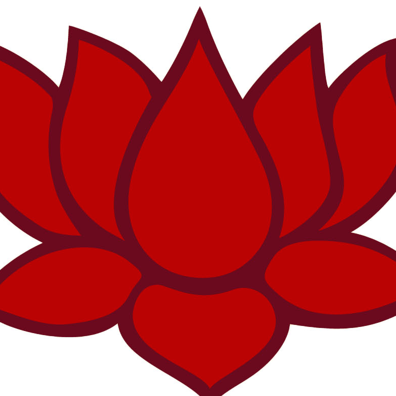 Floating Lotus Gloucester | Gloucester MA
