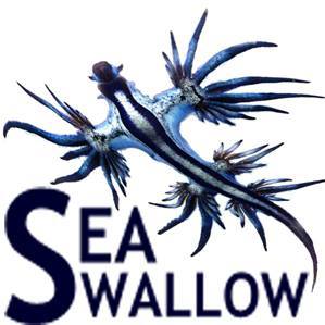 Sea Swallow