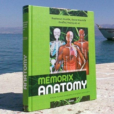 Memorix Anatomy (@MemorixAnatomy) • Facebook