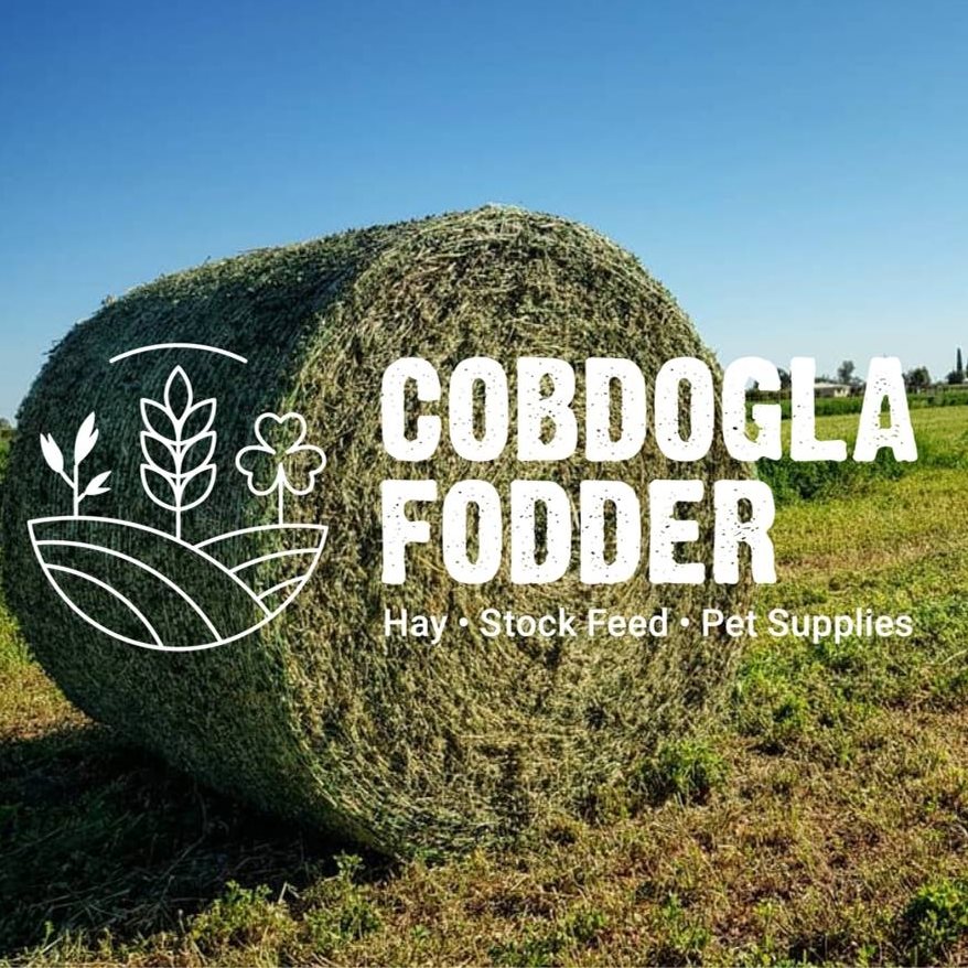 Cobdogla Fodder | Cobdogla SA
