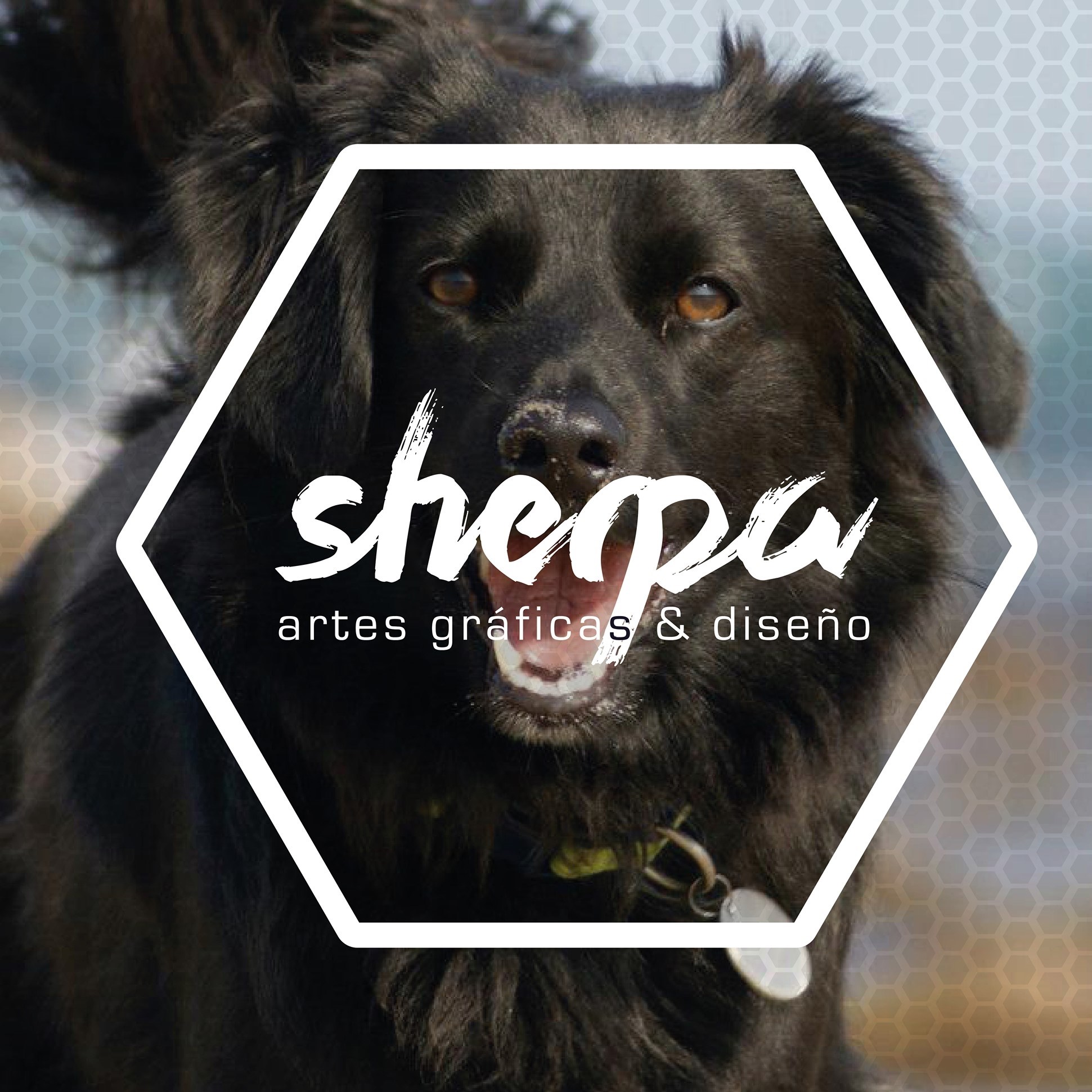 Sherpa Artes gráficas & diseño | Andosilla