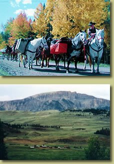 RC Guest Ranch | Creede CO