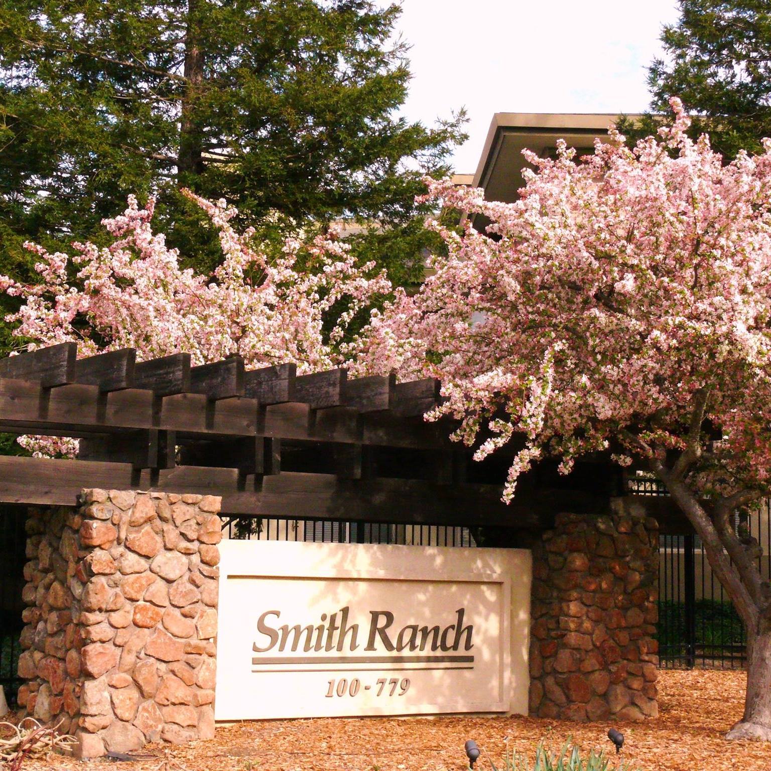 Smith Ranch Marketing | San Rafael CA
