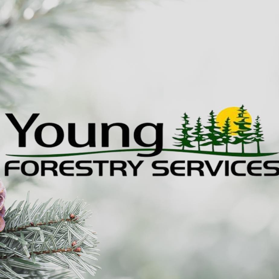 Young Forestry Services | North Bay ON