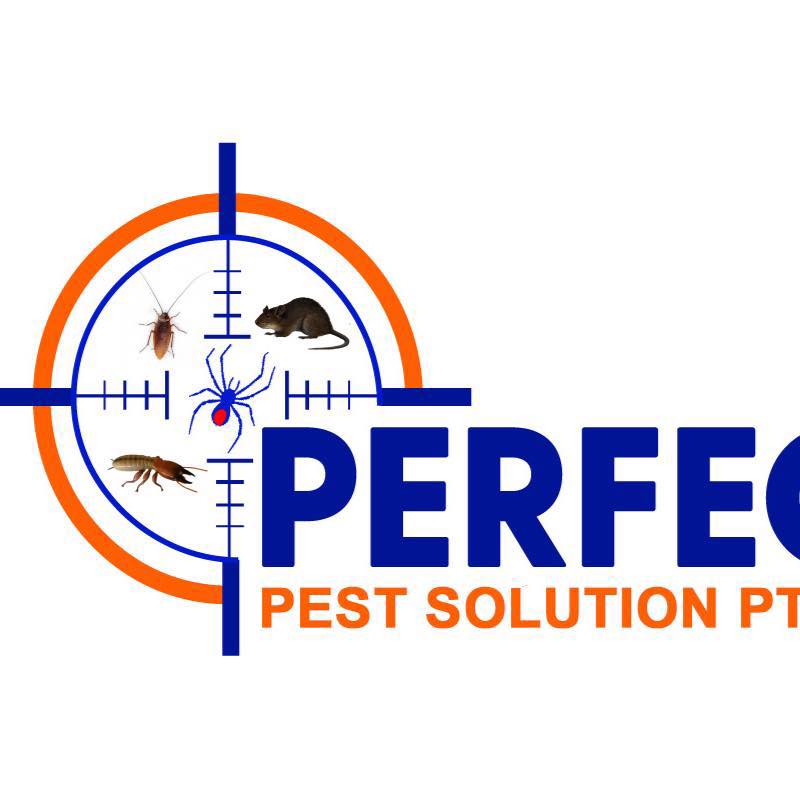 Perfect Pest Solution | Roseville NSW