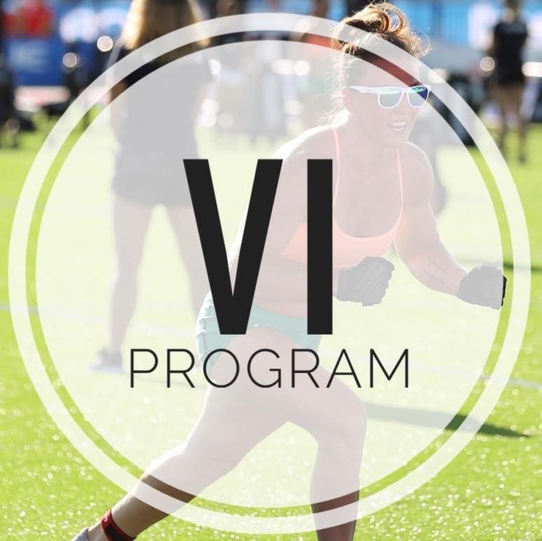 VI-program