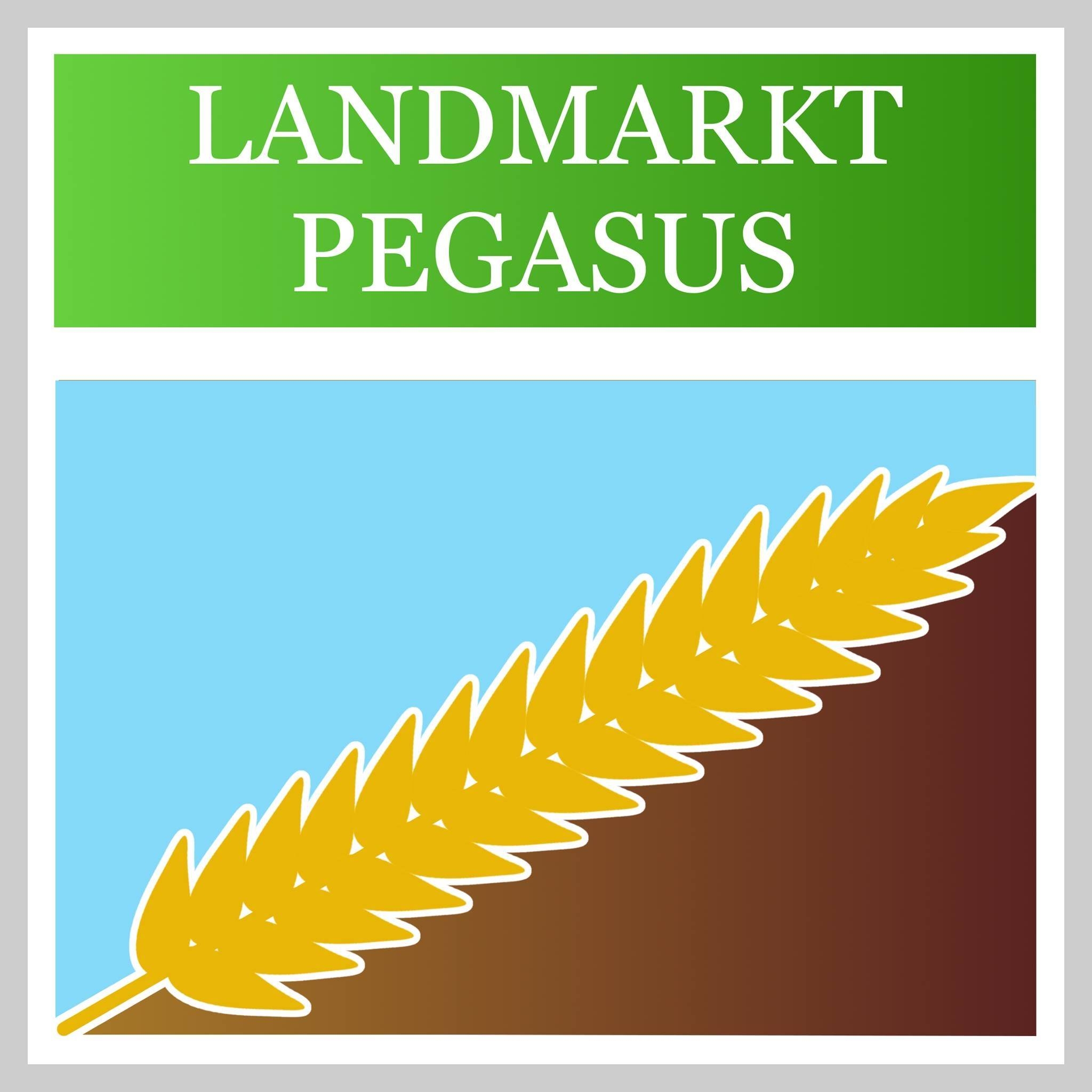 Landmarkt Pegasus ı Oppin | Landsberg