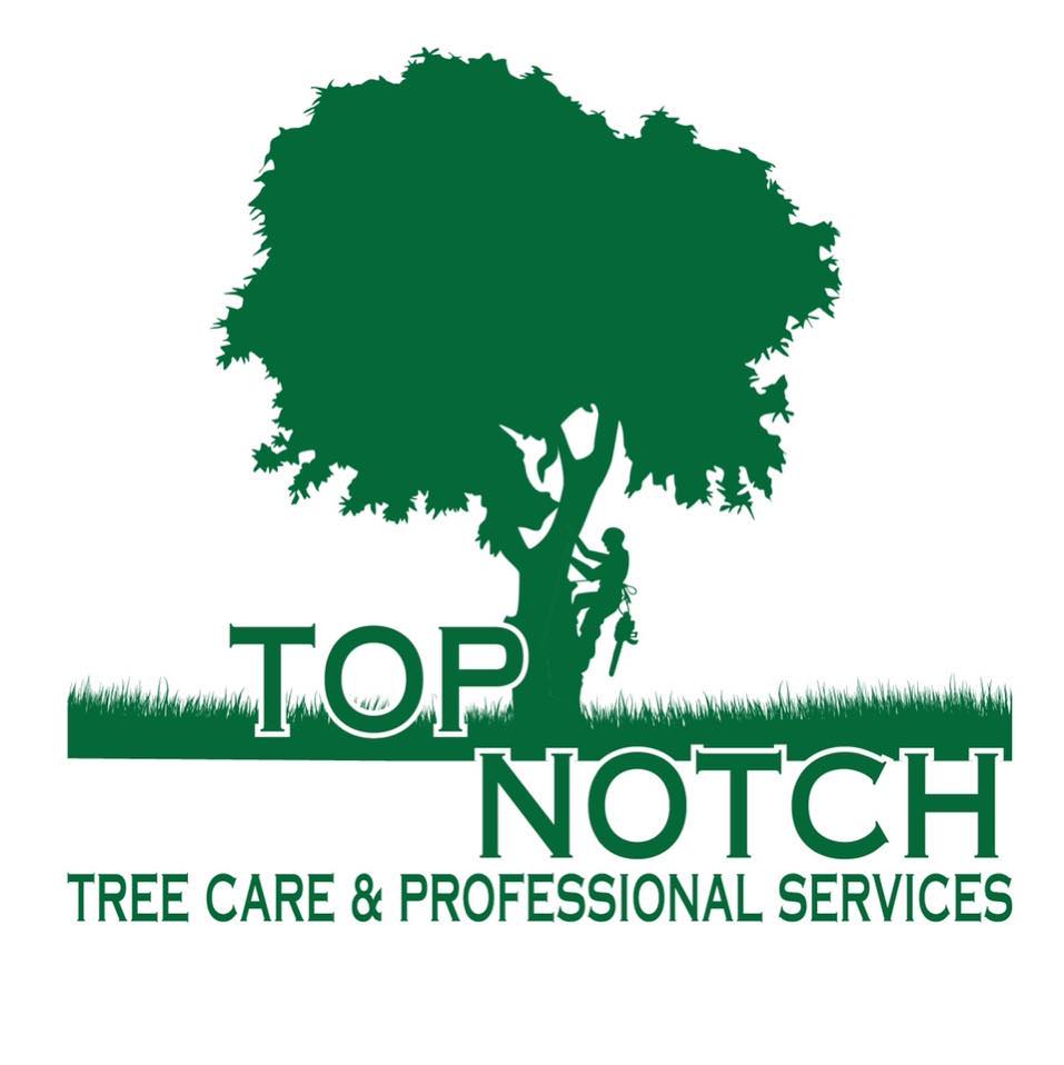 Top Notch Tree Care and professional services | Ocala FL