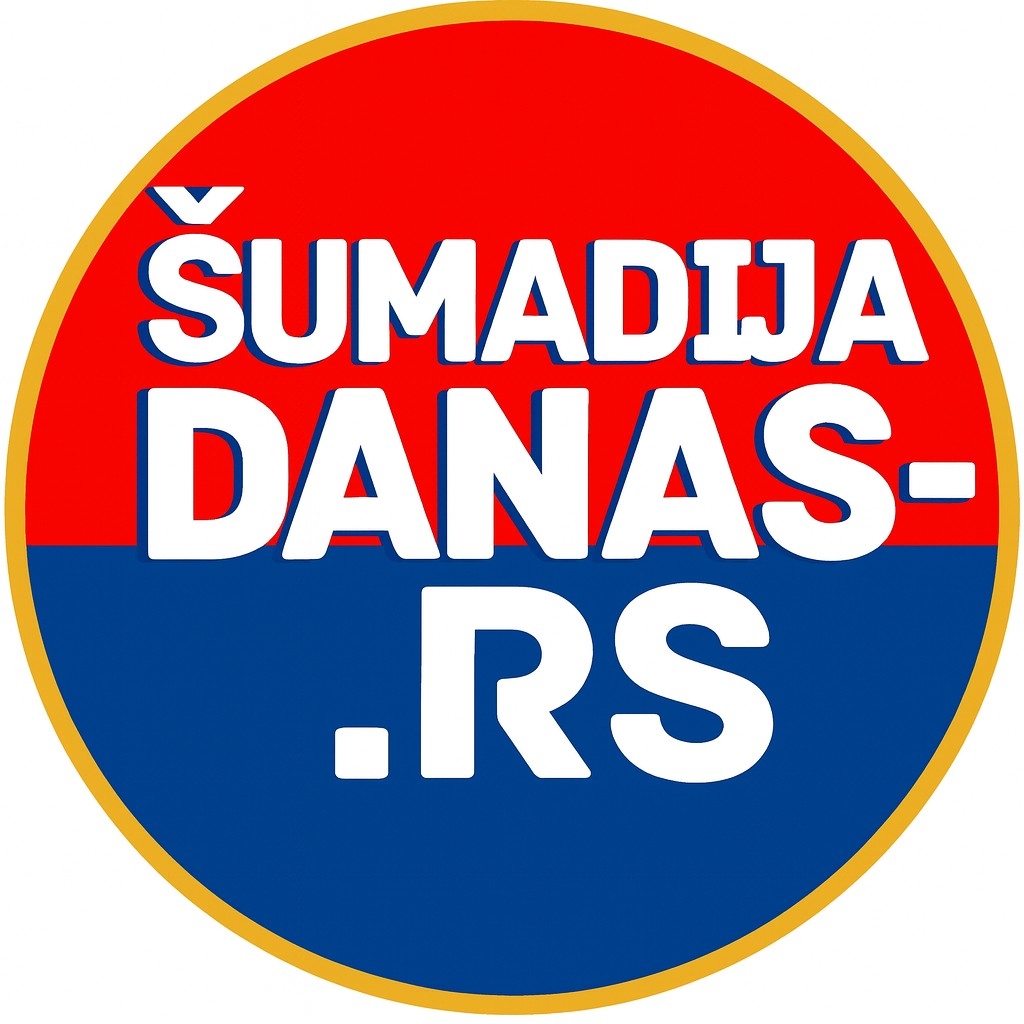 diskoteka-mb-tc-oblik-smederevska-palanka