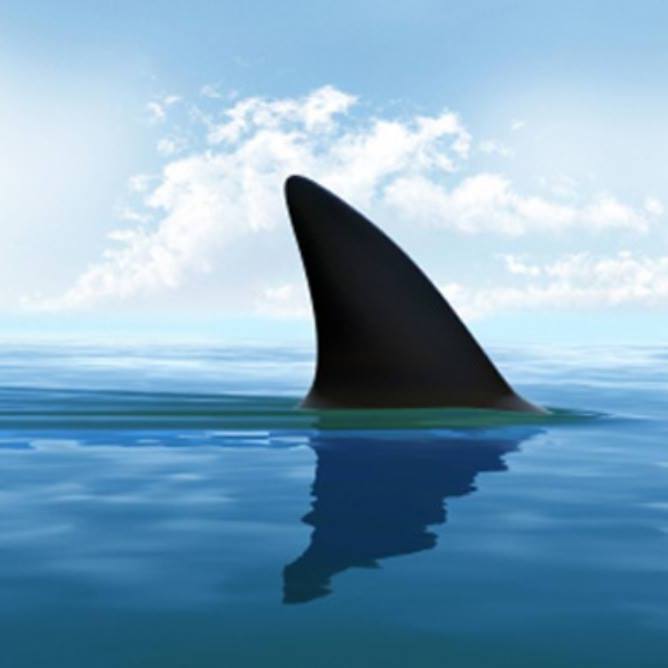 Kill Devil Hills Nightlife Guide