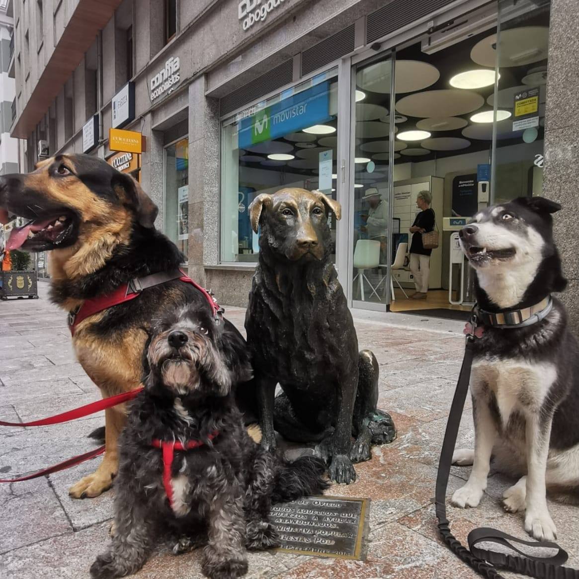 Corner Dogs | Navalcarnero