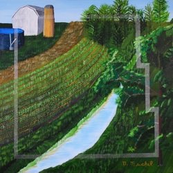 Williams Soil and Water Conservation District