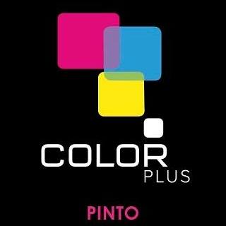 Color Plus Pinto | Pinto