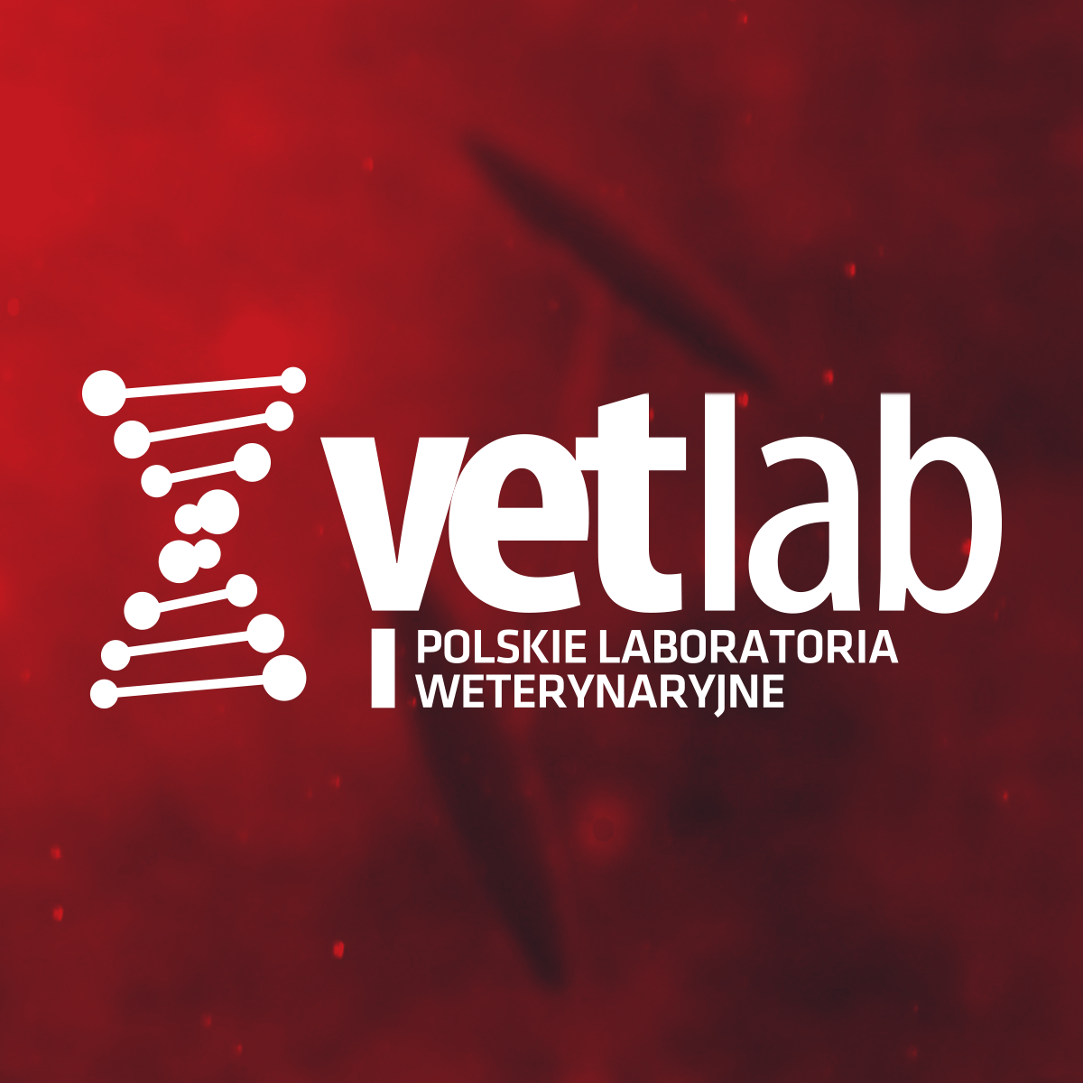 Szybciej,... - Vetlab Polskie Laboratoria Weterynaryjne | Facebook