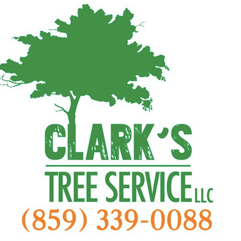 Clark's Tree Service, LLC | Stanford KY