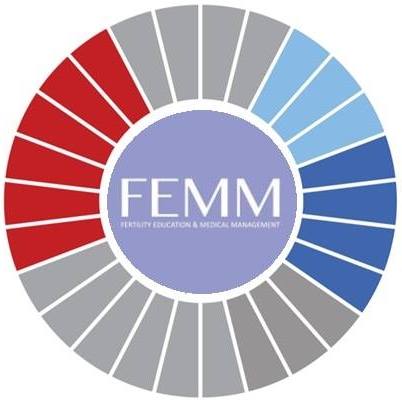 FEMM Hungary