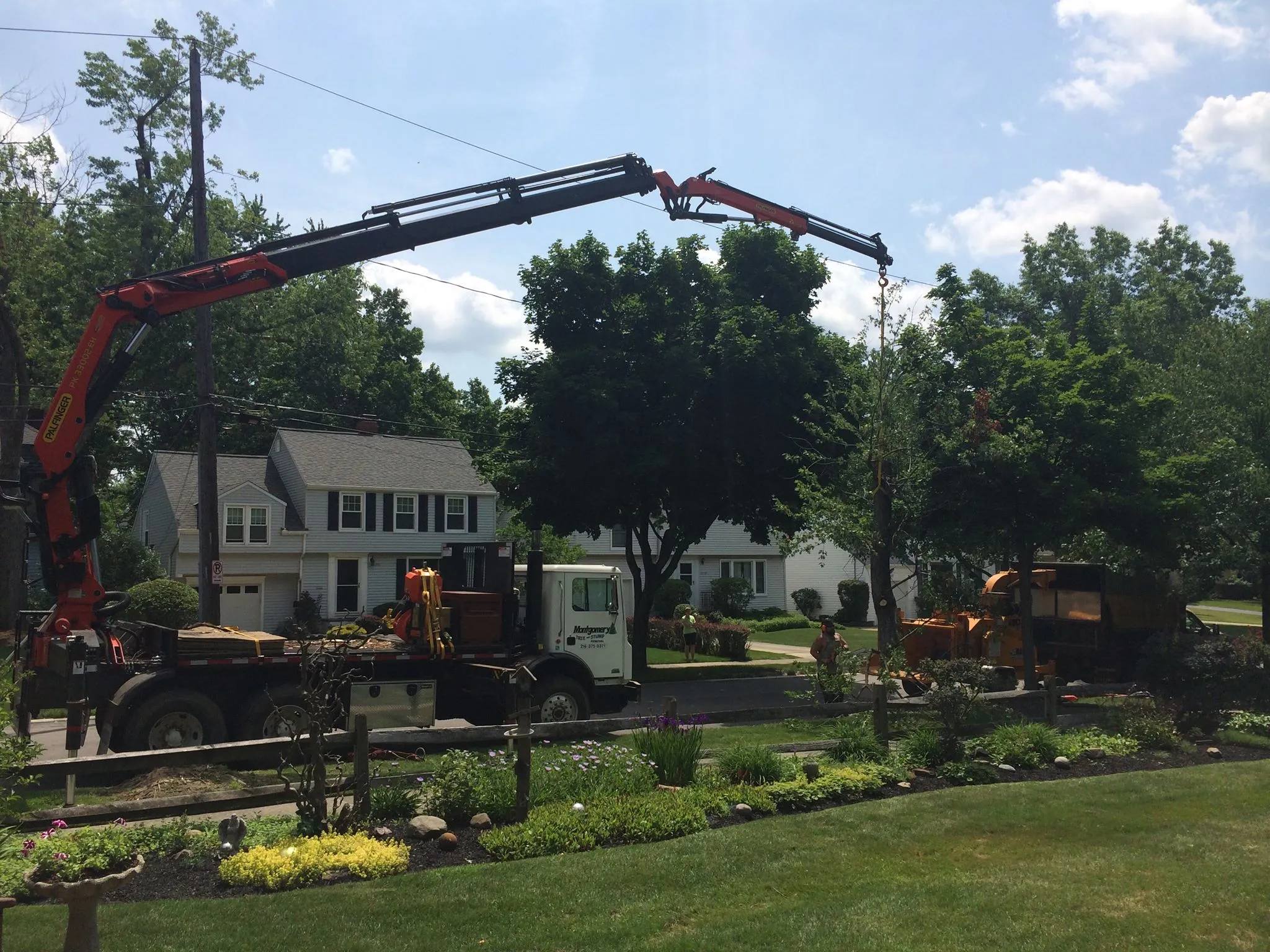 Montgomery Tree & Stump Removal | Huntsburg OH