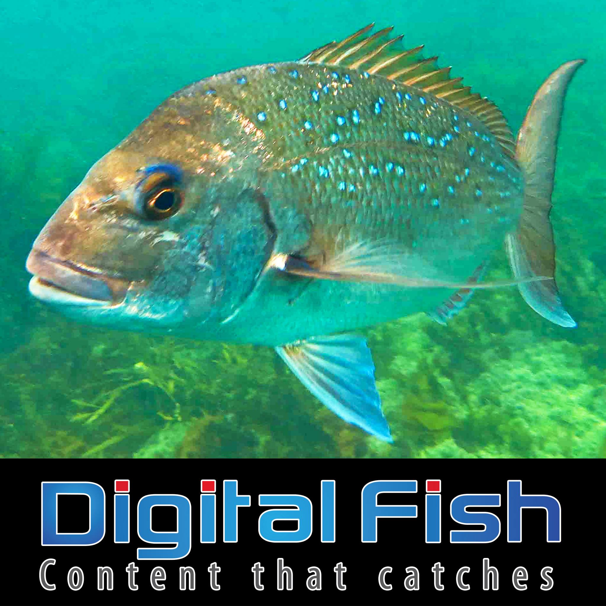 Digital Fish