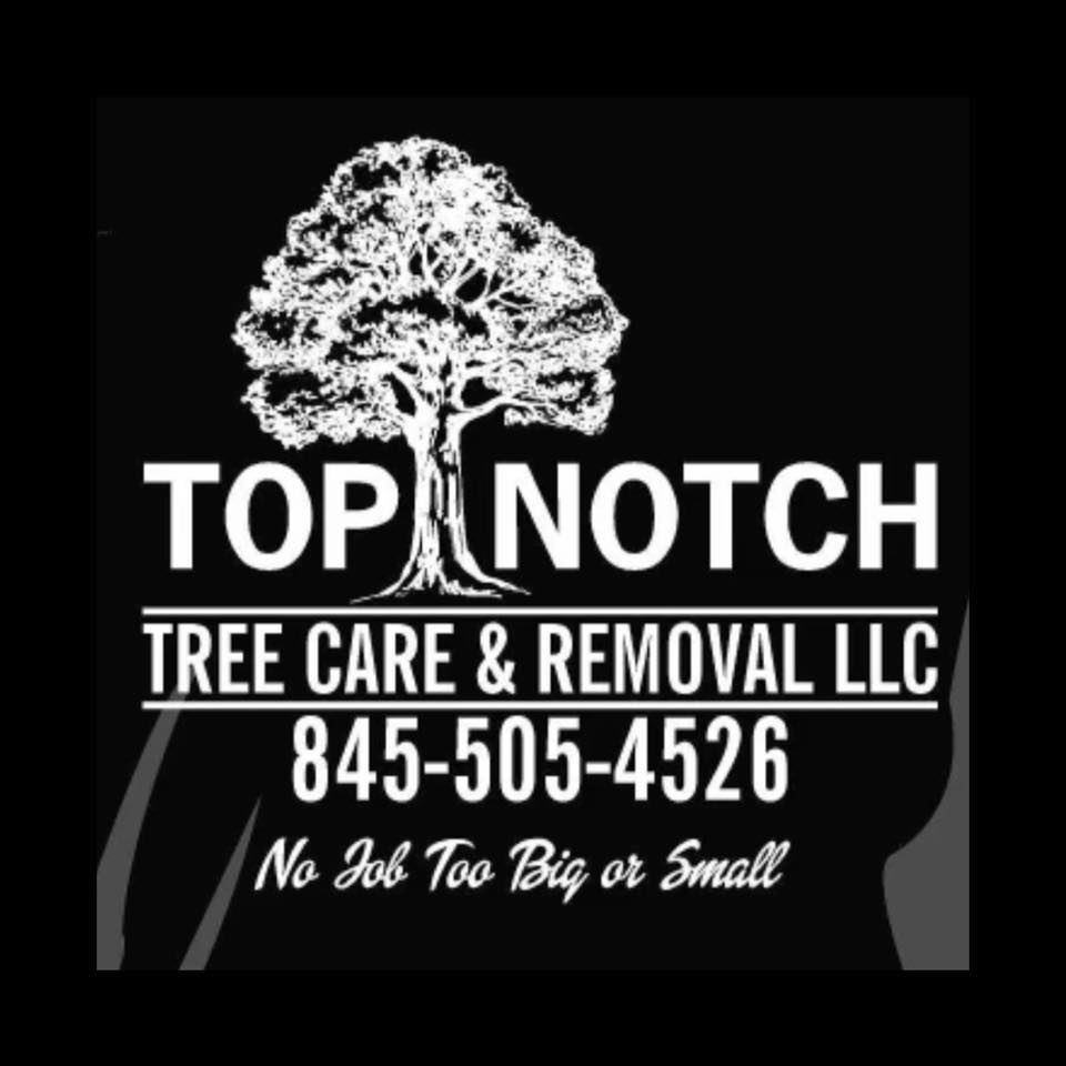 Top Notch Tree Care & Removal | Catskill NY