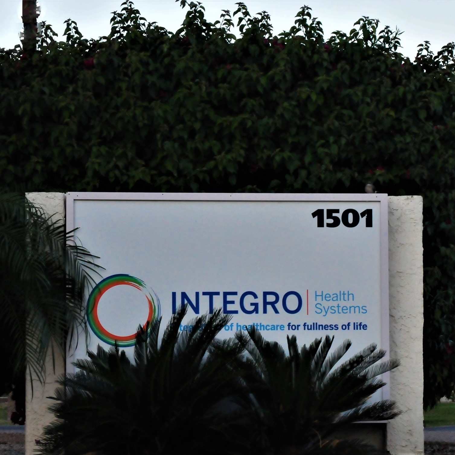 Integro Health Systems