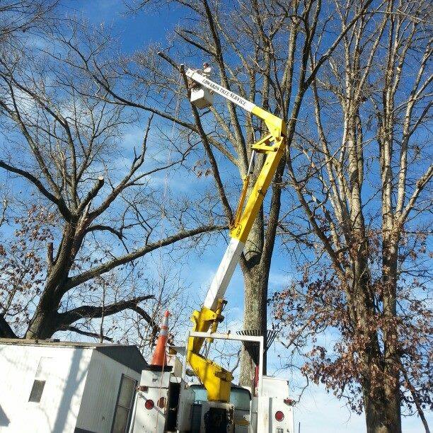 Edwards tree service | Blountville TN