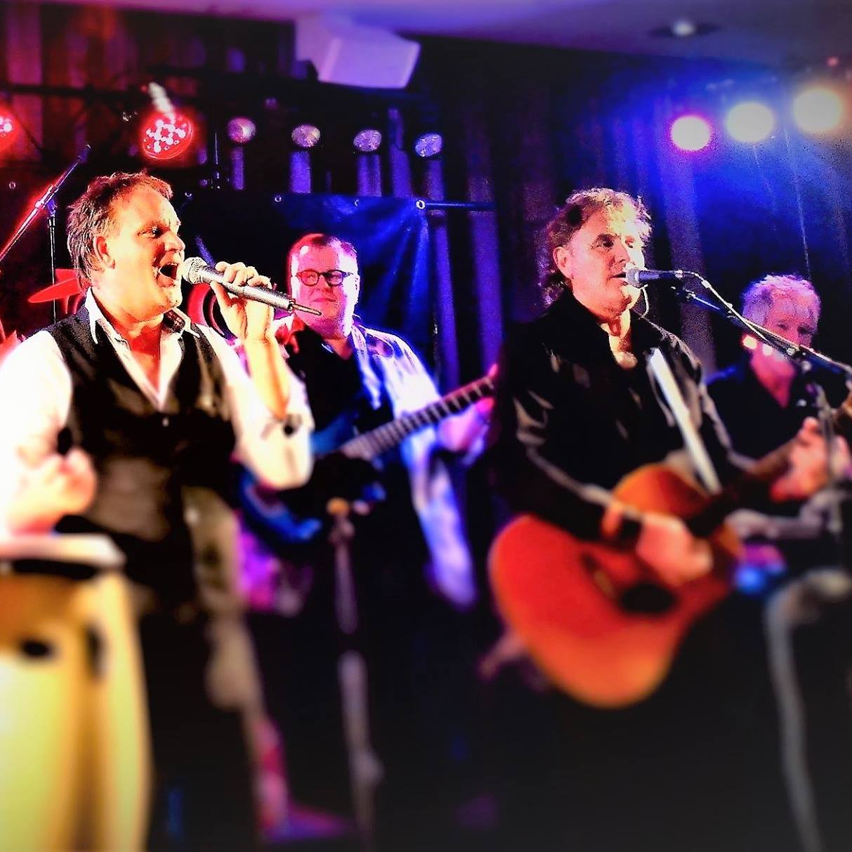 The Cats Aglow Tribute