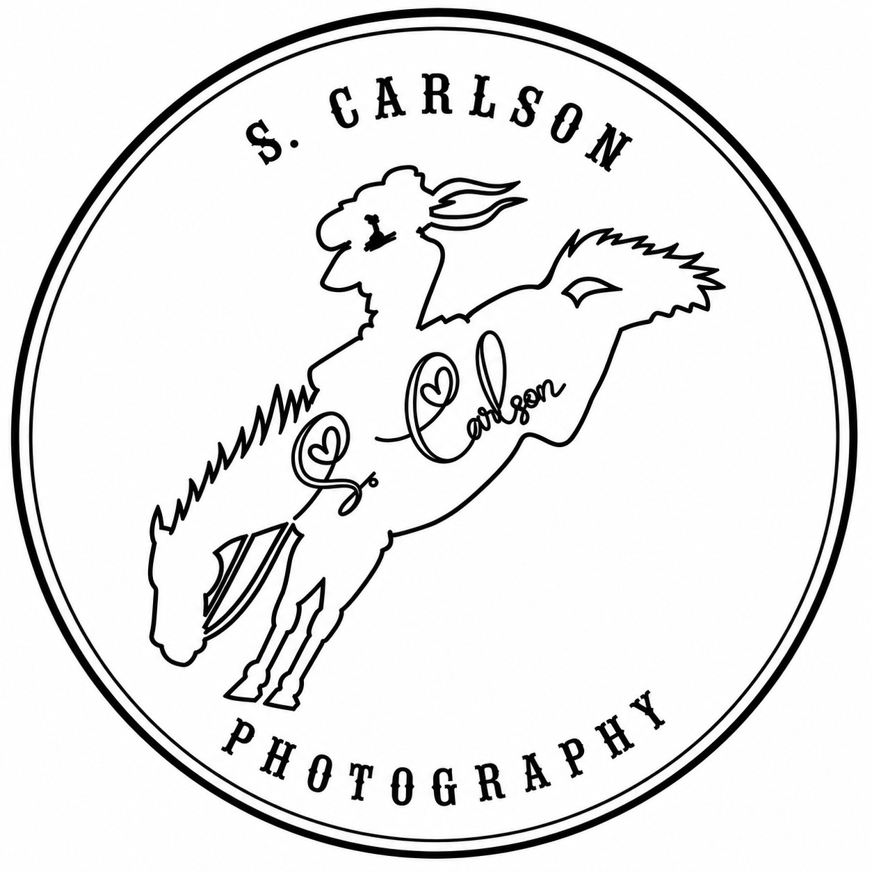 Sheila Carlson Photography