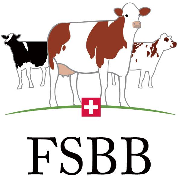 FSBB | Yverdon-les-Bains