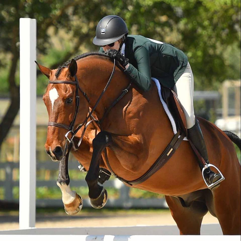 Very fun hack on this angel boy today! Still sinking in that he’s my ...